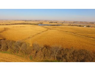 Property photo 8 - LAND AUCTION - 664+/- ACRES OFFERED IN 17 TRACTS IN CASS CO., NEBRASKA